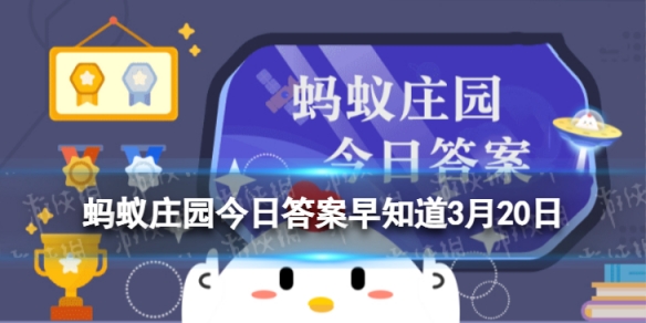 邦邦视频下载app