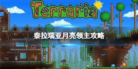 花季v3.014正式版本红楼直播