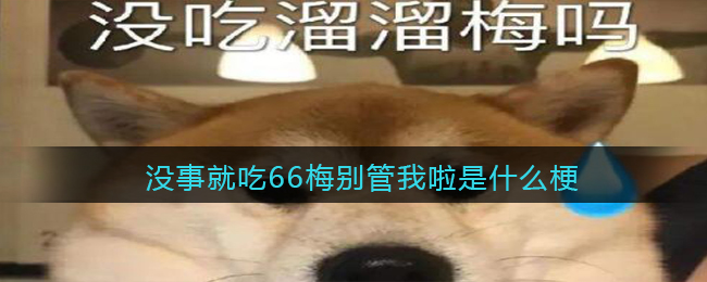 69ml.tv app