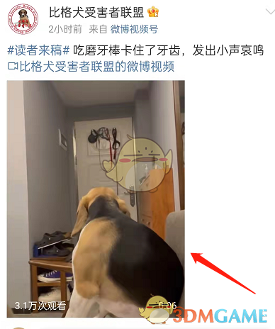 《卧龙吟2》战马获取方法介绍