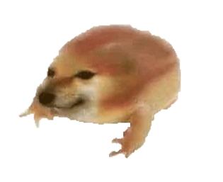 爱租机