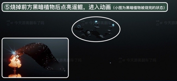 《探探》短信通知关闭方法
