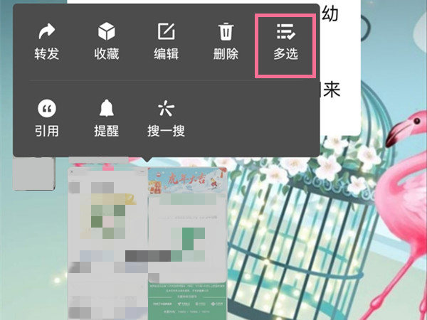 模特直播app