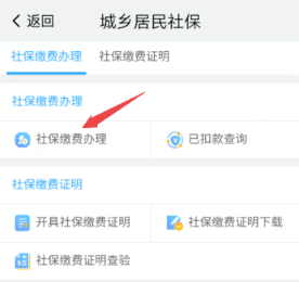 密洞app