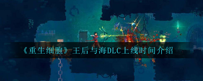 拼多多怎么隐藏个人信息