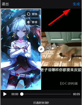 国际庄磊哥裕华高速路事件(石家庄裕华路口磊哥提刀事件)
