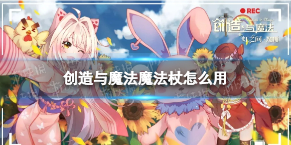 《动物大联盟》菠萝丁称号获取方法