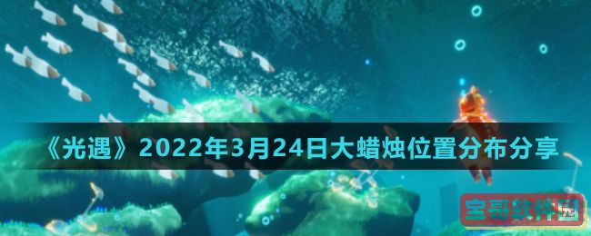 国际庄磊哥裕华高速路事件(石家庄裕华路口磊哥提刀事件)