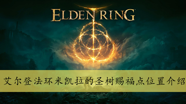 水多多sdd2 app ios最新