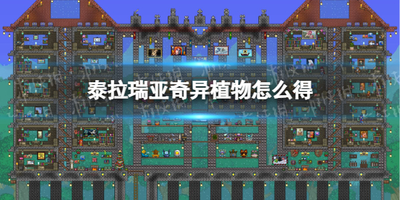 re05cc快猫视频app