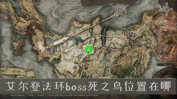 高晓松为什么被全网封(高晓松最近情况)