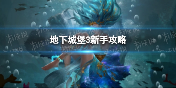 新车牌什么时候启用(各地发放时间不一样)