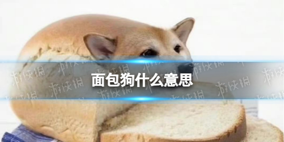 大海影视大全