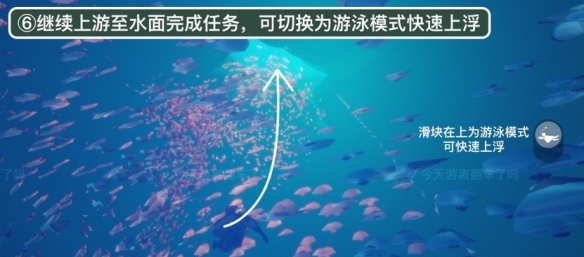 《探探》短信通知关闭方法