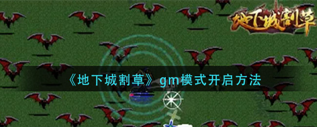 郭曦文演过什么电视(郭曦文真的是演员吗)