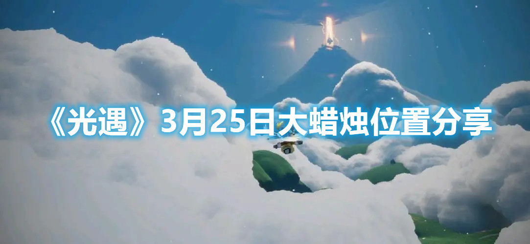 马甲线怎么练(每天只练腹部是正确的吗)