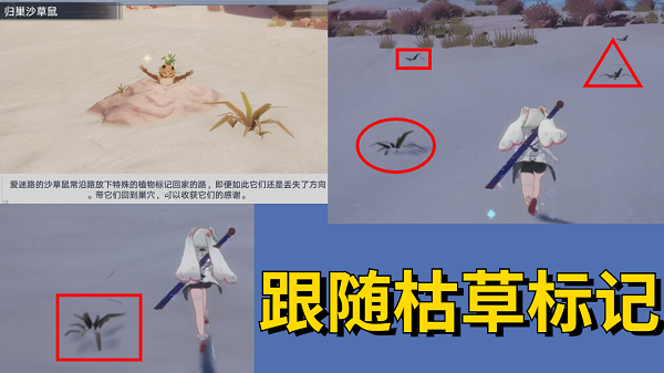 re05cc快猫视频app