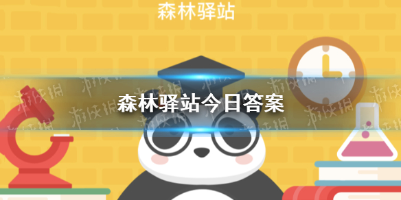 原神稻妻地图怎么开