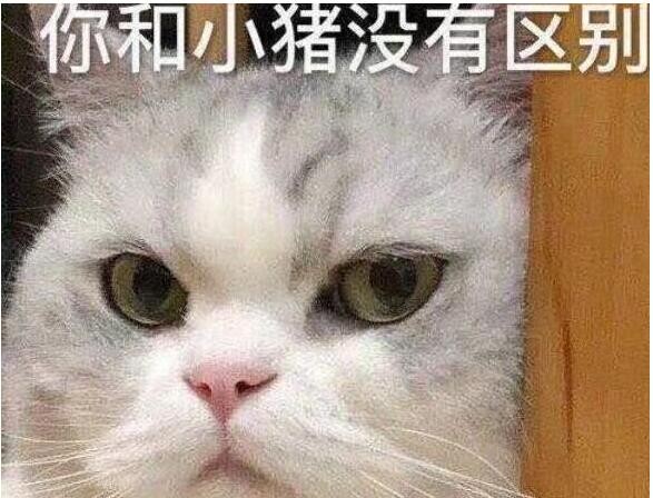 B站硬核会员题库大全 2022B站硬核会员答题答案汇总