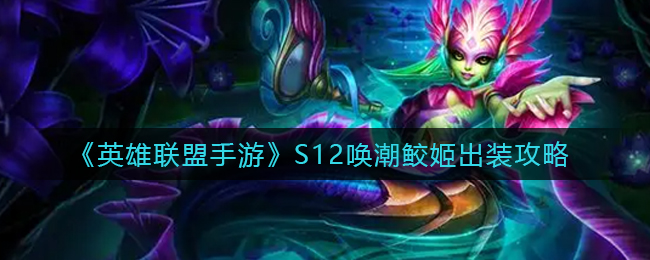 B多多app
