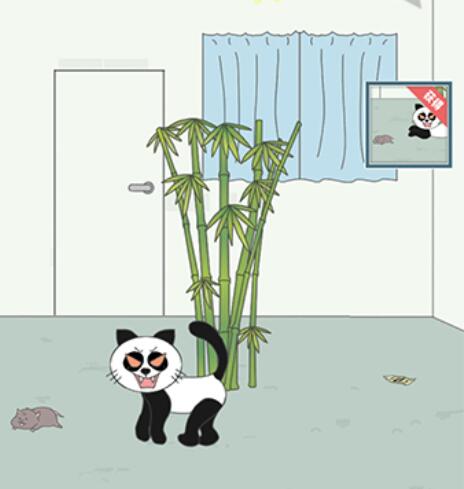re05cc快猫视频app