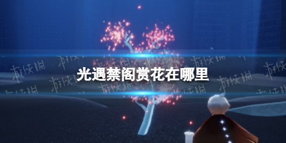 抖音回关和互相关注的区别