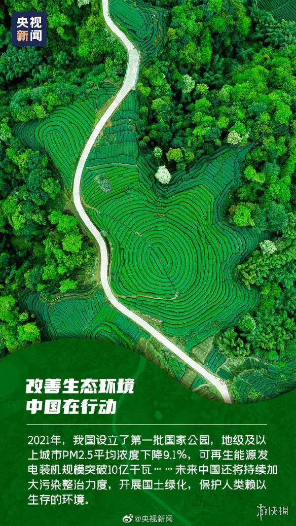 金铲铲之战空5是什么意思