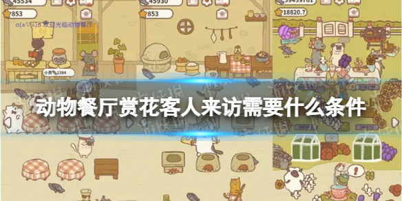 《天地劫：幽城再临》高皇君技能分析