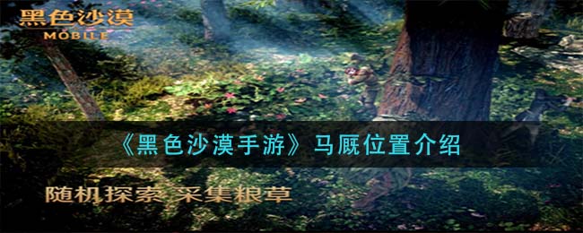 re05cc快猫视频app