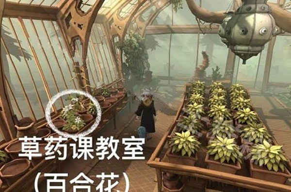 爱租机
