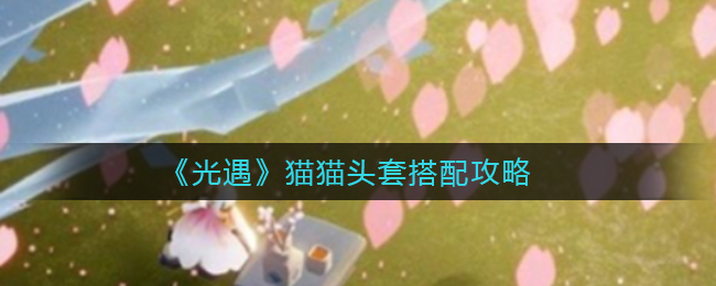 B站硬核会员题库大全 2022B站硬核会员答题答案汇总