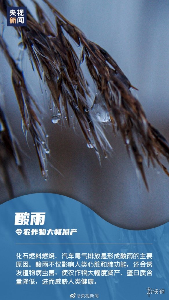 金铲铲之战空5是什么意思