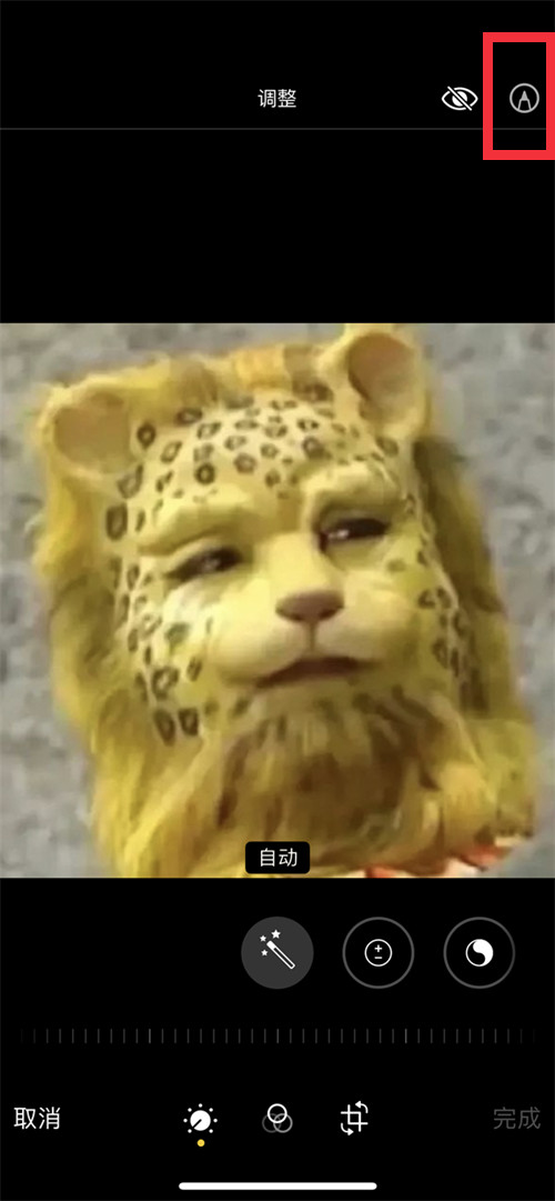 re05cc快猫视频app
