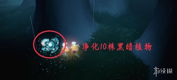 普朗东和毛毛离婚了吗(普朗东和丁毛毛分手了)