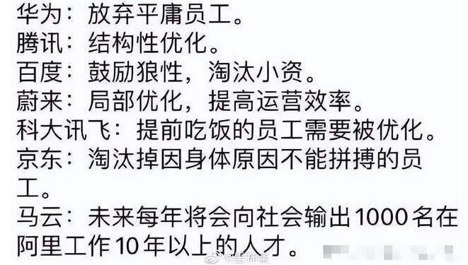 re05cc快猫视频app