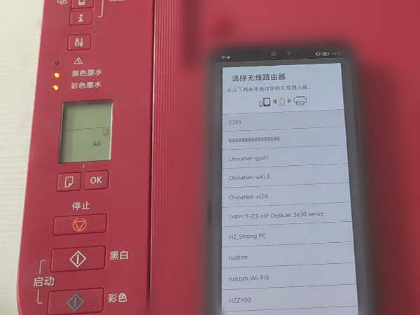 数码宝贝：新世纪灭世龙兽阵容搭配推荐