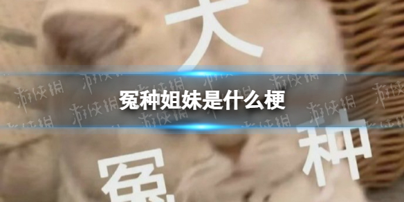 蜜语尤香app