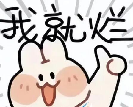 re05cc快猫视频app