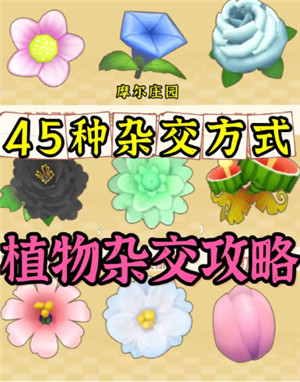 蜜桃传媒新春版