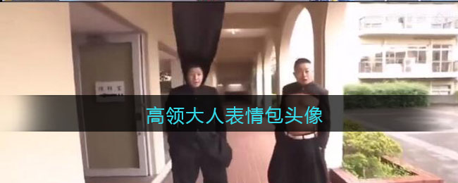 模特直播app