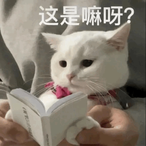菲住会员怎么取消自动续费