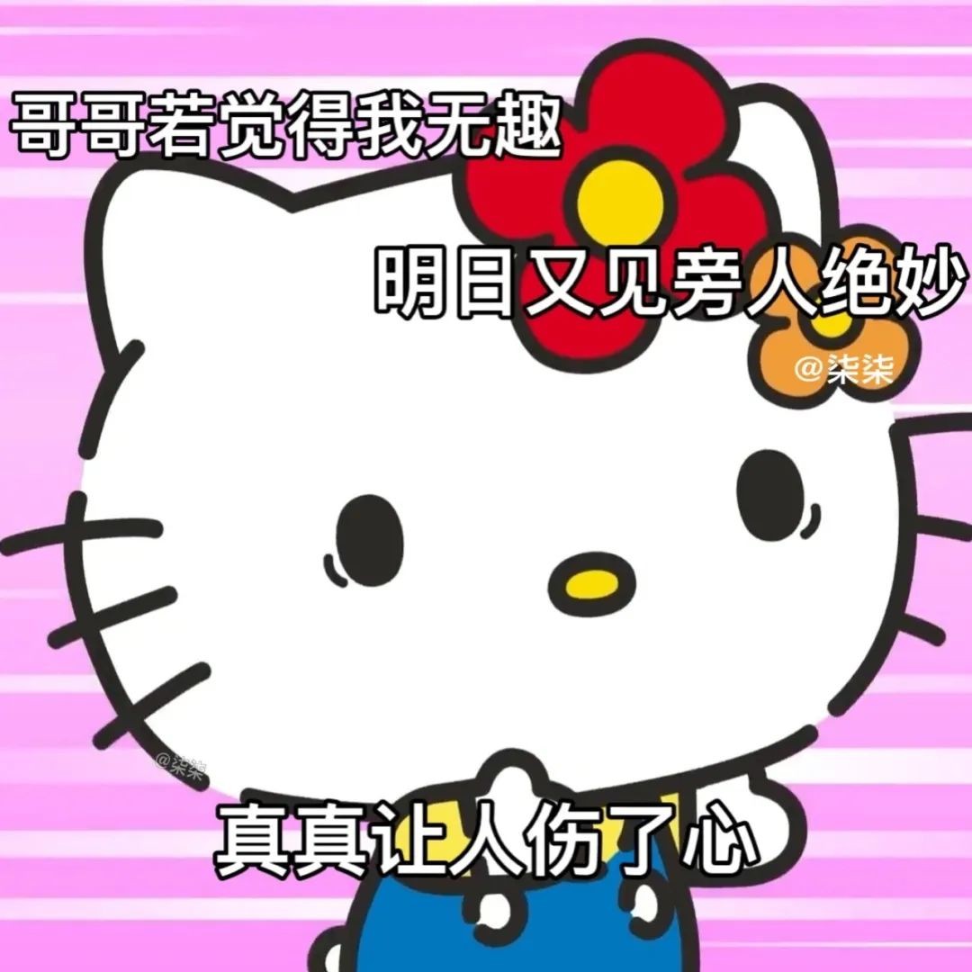 密洞app