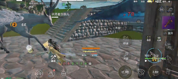 抒发森林