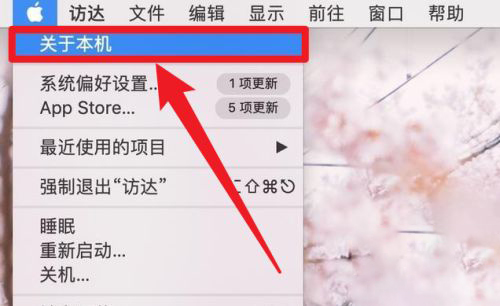 全民烧脑大师