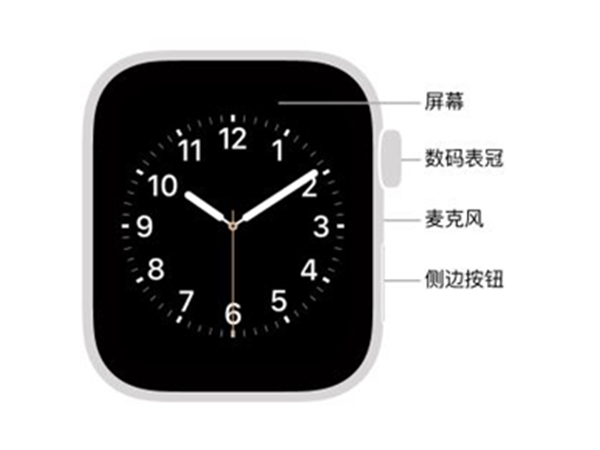 核酸检测APP下载安装
