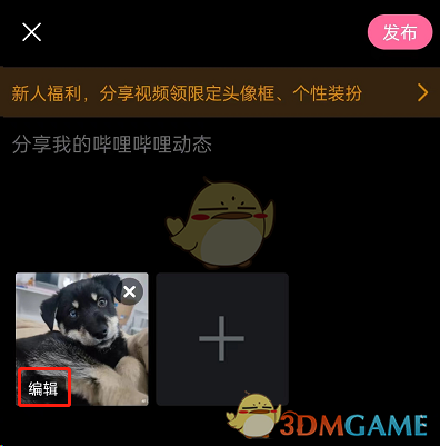 re05cc快猫视频app