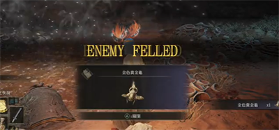 郭曦文演过什么电视(郭曦文真的是演员吗)
