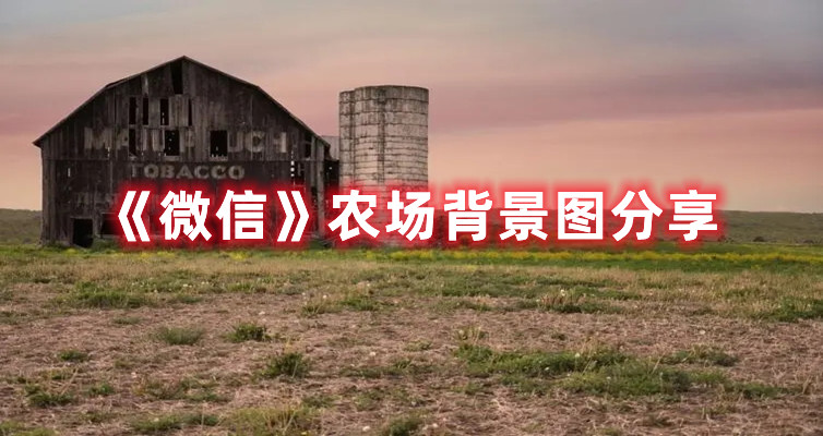 爱租机