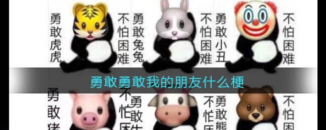 葫芦娃31life最新app