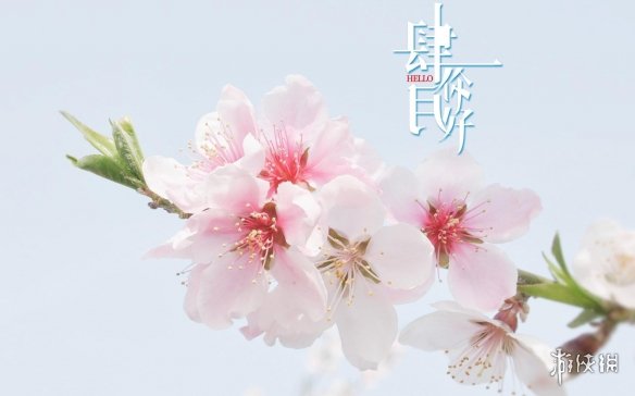 607a.t∨下载